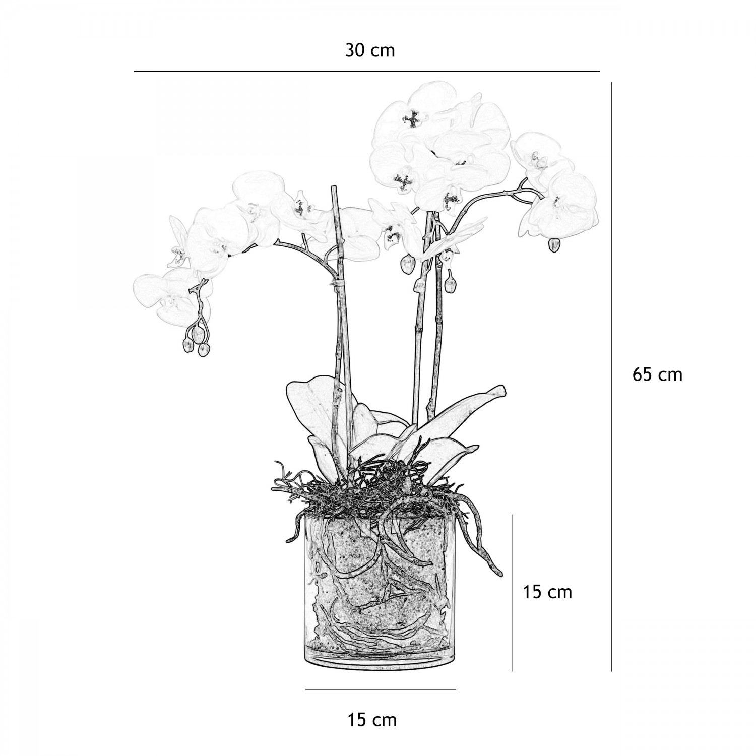 Orchidées artificielles toucher naturel 65cm