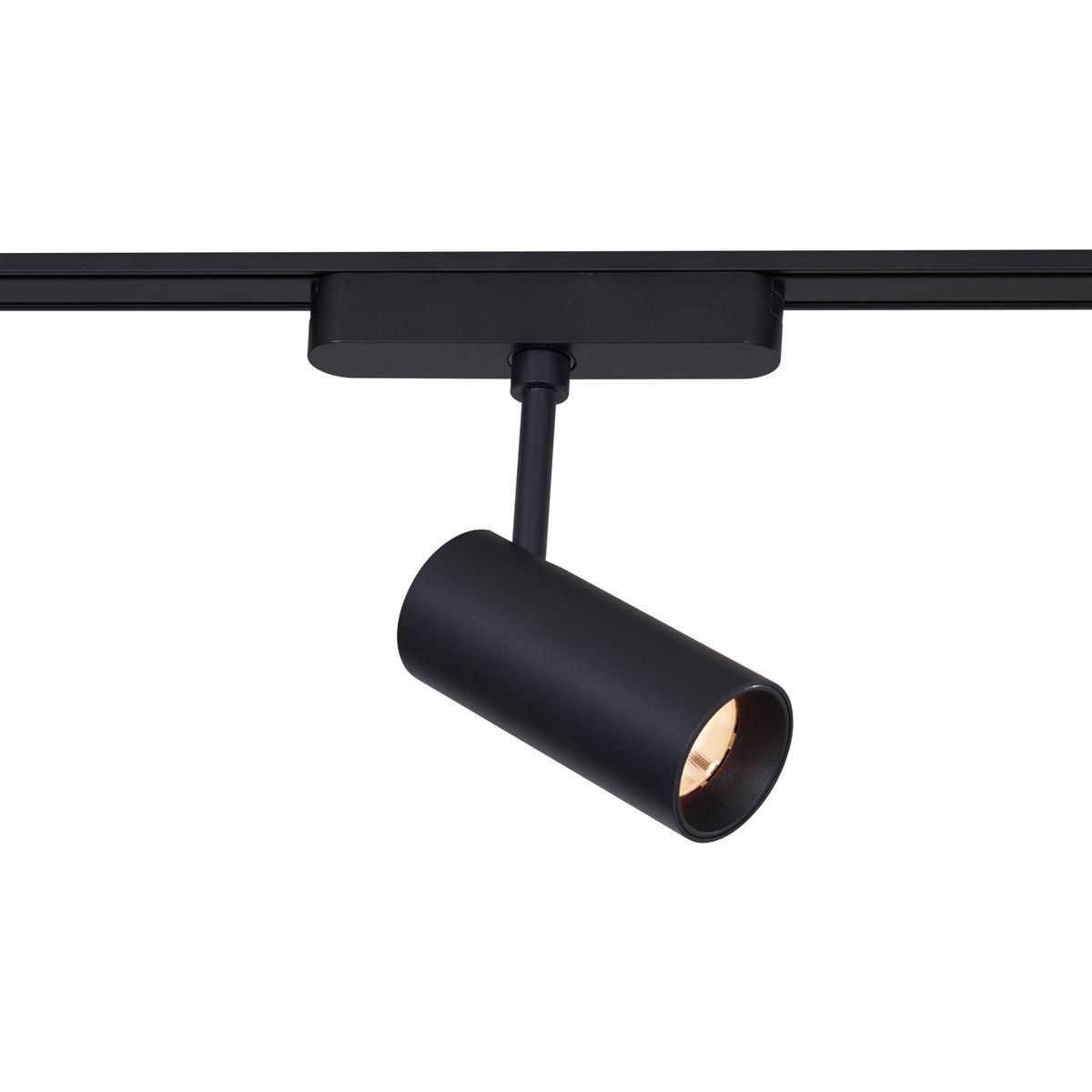 Railsysteem met 8 spots en 4 plafondlampen zwart 1-fase - Magnetic Gert Puntua