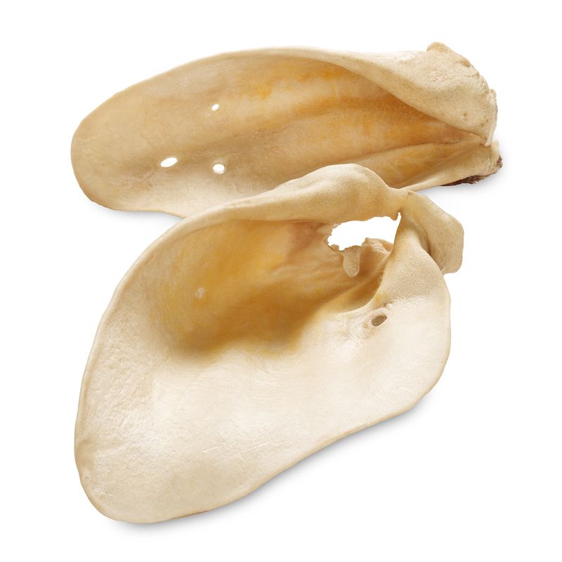 Oreilles de bœuf de Bavière ou d'Autriche