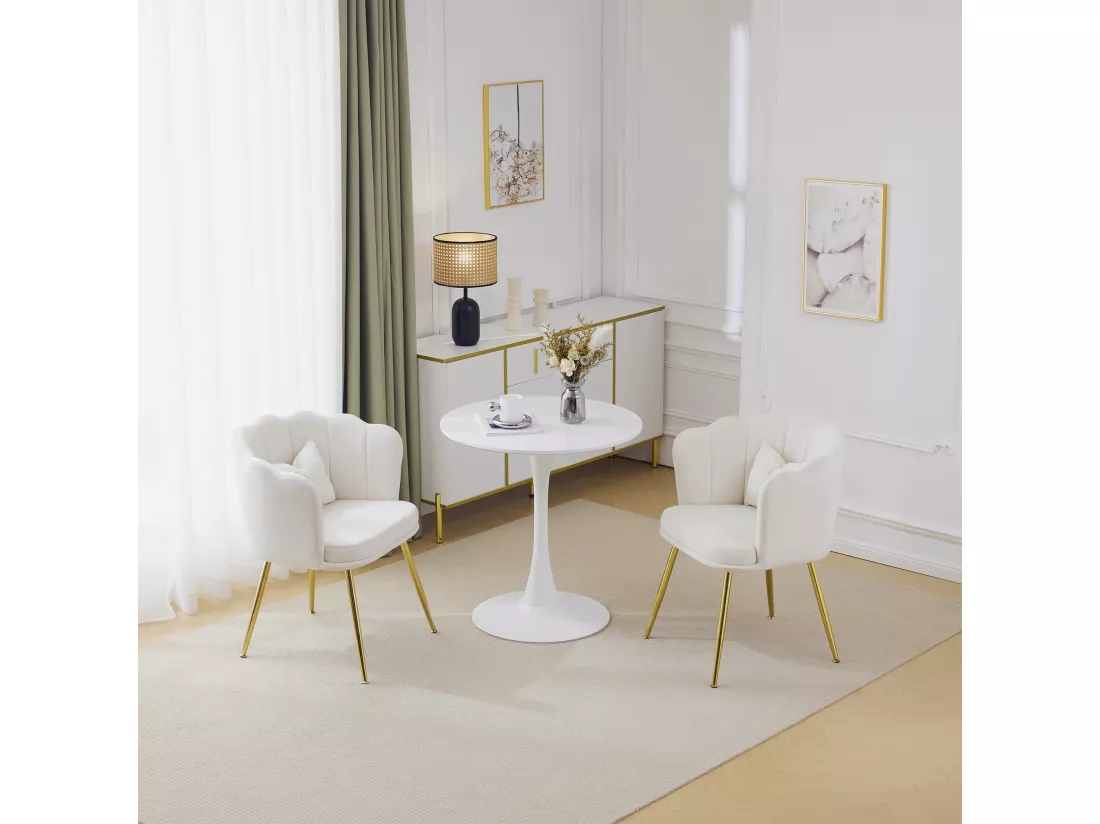 Haobosic - Set de 2 Chaises Modernes en Velours avec Dossier en Forme de Pétale, Pieds en Métal Doré, Coussins Confortables pour Salon