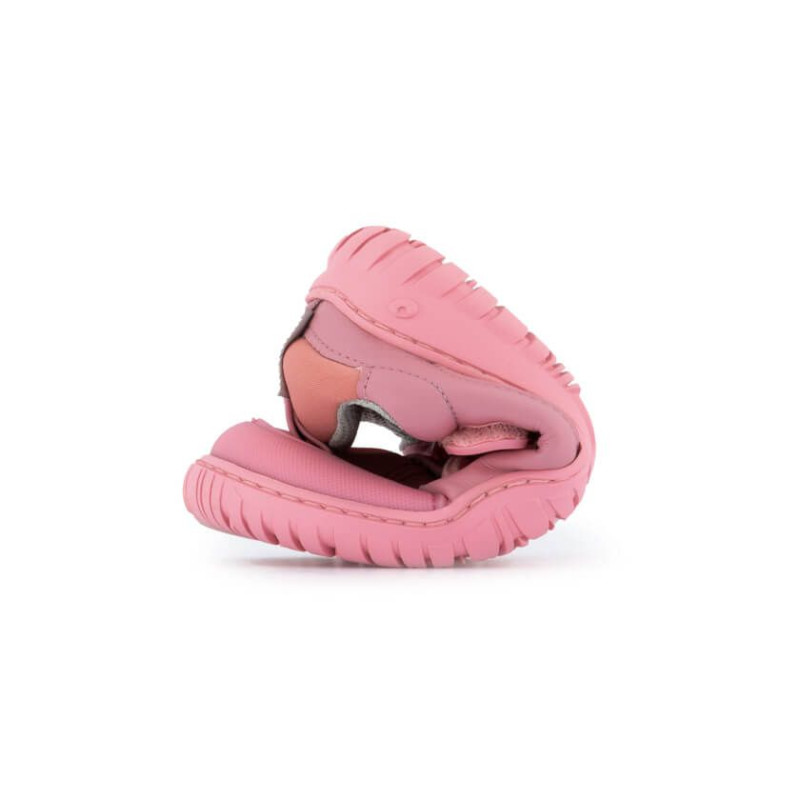 Zapato feroz Zapato Feroz Rockers Ibi Rose