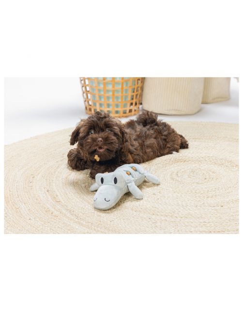 Beeztees Puppy Krokodil Jake - Hondenspeelgoed - 32x18x8 cm 65 g Groen