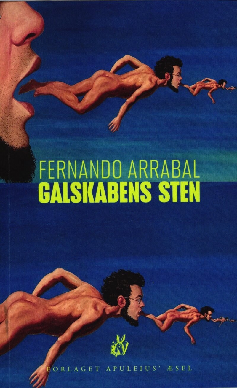 Galskabens Sten - Fernando Arrabal - Bog