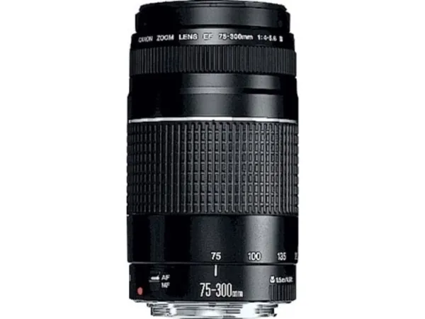 Canon EF - Telefoto zoom objektiv - 75 mm - 300 mm - f/4.0-5.6 III - Canon EF - for EOS 1000, 1D, 50, 500, 5D, 7D, Kiss F, Kiss X2, Kiss X3, Rebel T1i, Rebel XS, Rebel XSi