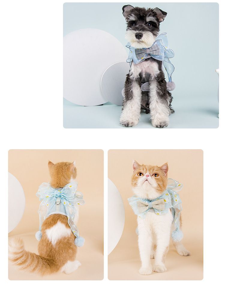 2 nachten - Bow Pet Harness