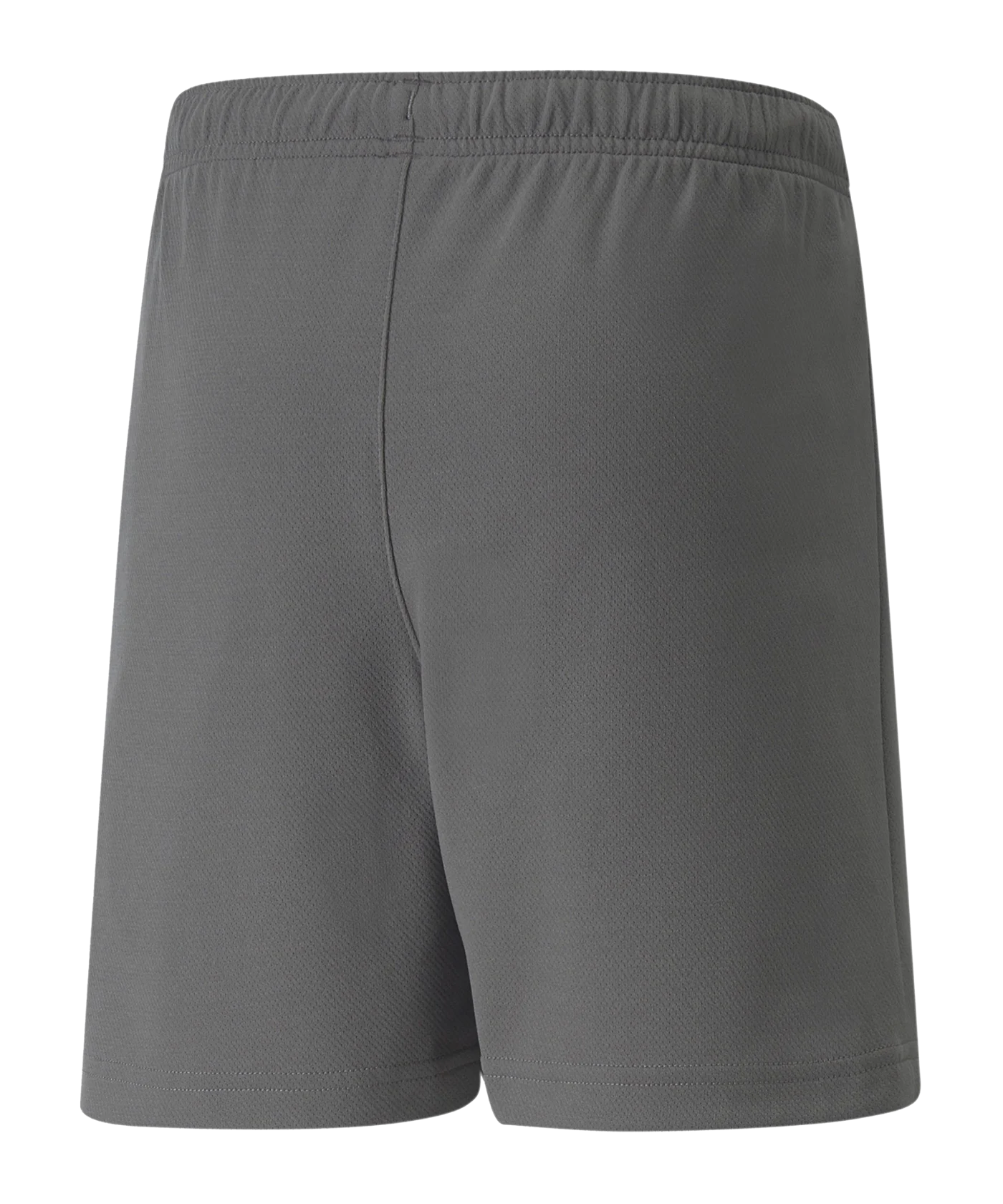 PUMA teamRISE Short Kids Grau Weiss F13