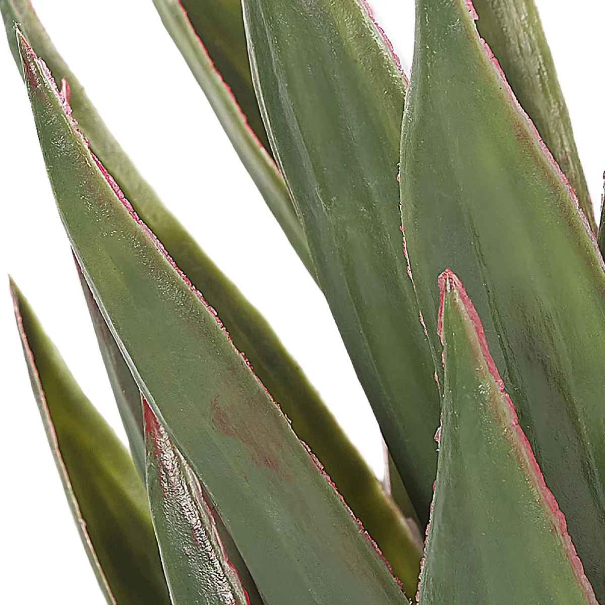 BELIANI YUCCA 52 cm - Vert