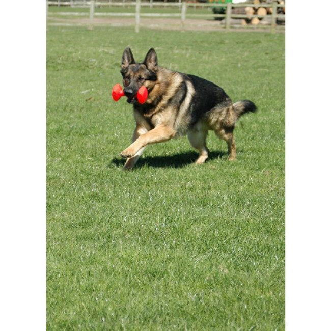 Apportable Clix flottant en plastique pour chien