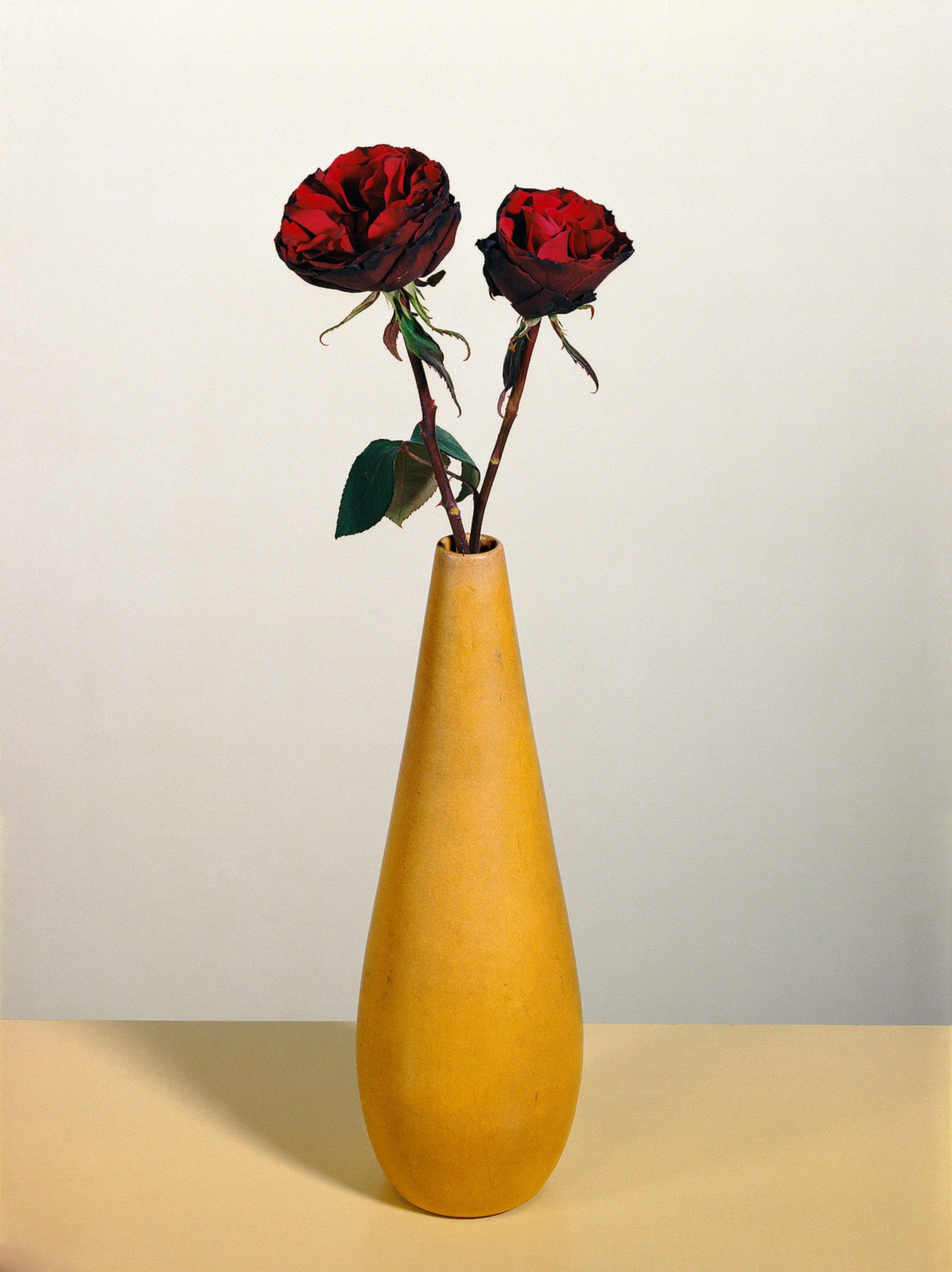 Rosen 2 by Kris Scholz - Limited Edition. Edition of: 100. Signed.
