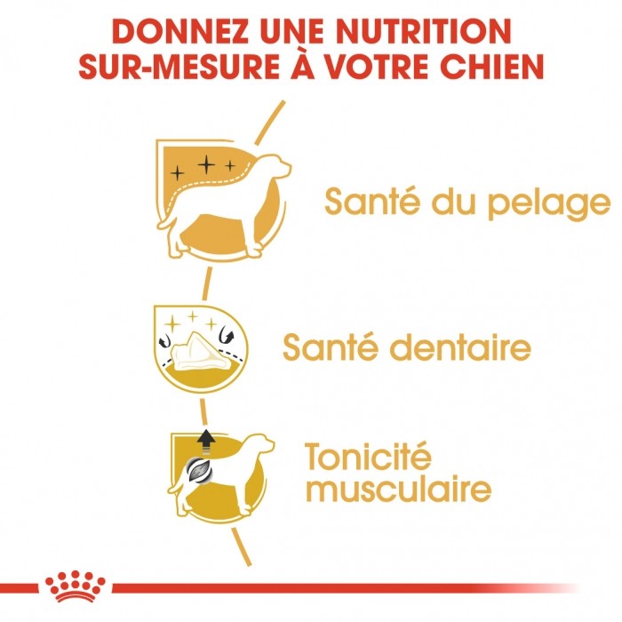 Royal Canin Caniche Adult (Poodle) - Croquettes pour chien