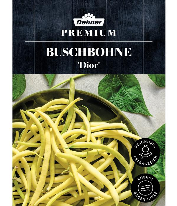 Dehner Premium Samen Buschbohne 'Dior'