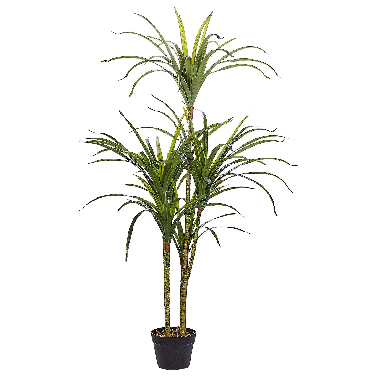 BELIANI DRACAENA ANITA 147 cm - Vert
