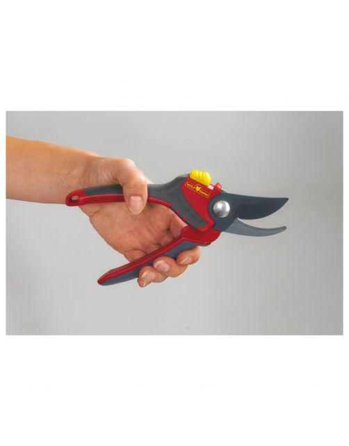 Wolf-Garten Snoeischaar Rr 4000 - Boom&Struikverzorging -