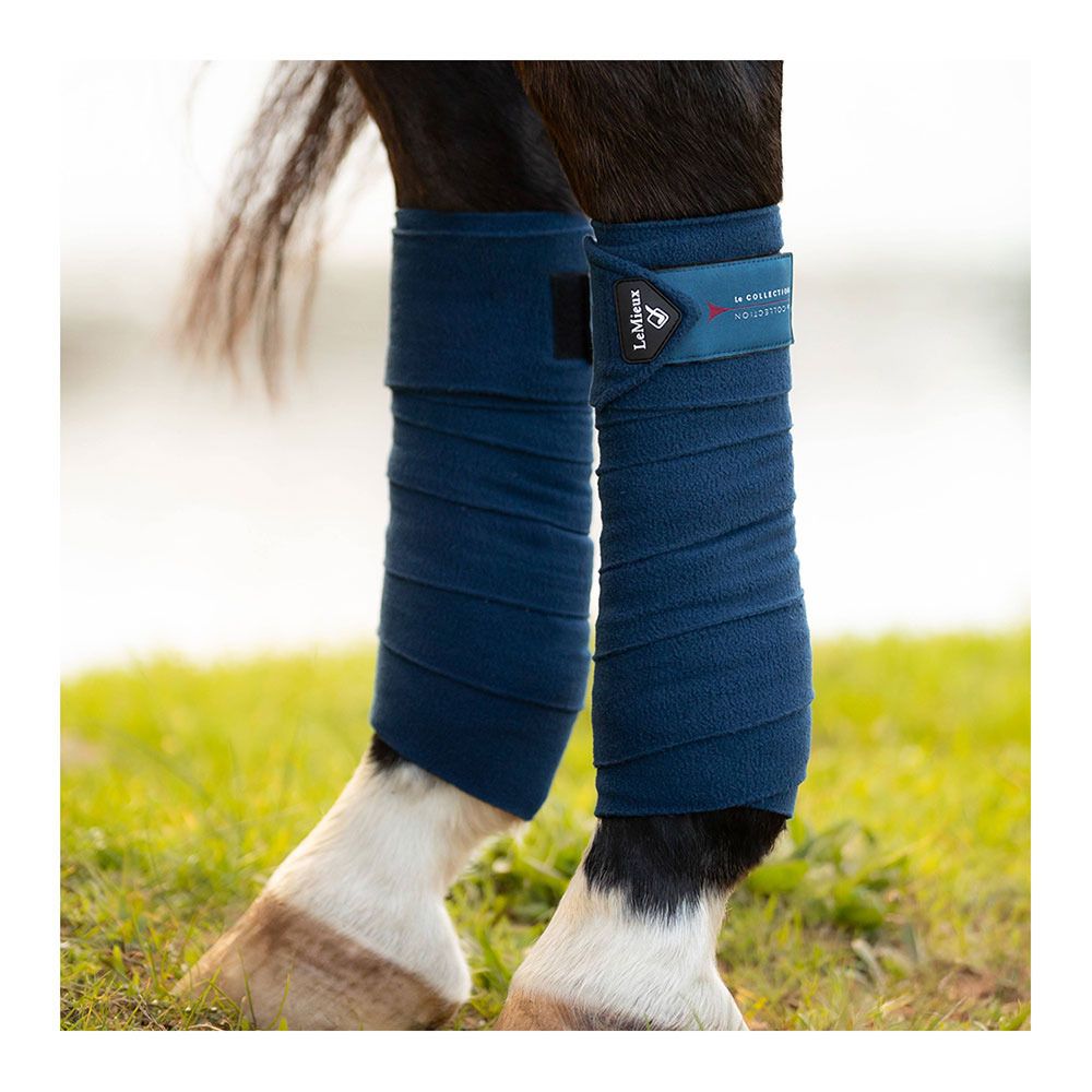 Le Mieux CLASSIC - Bandes de polo x4 atlantic