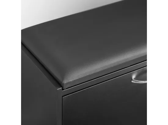 Banc Armoire À Chaussures 1 Abattant Avec Coussin Meuble D’entrée Coffre, Fsr16-sch