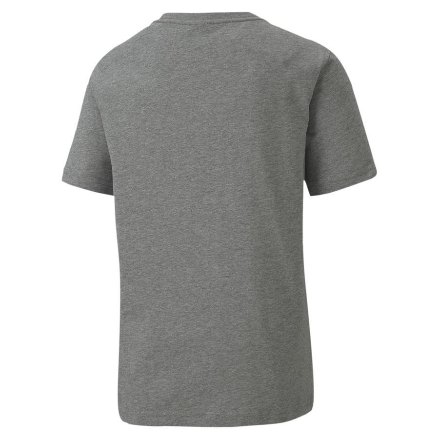 PUMA T-Shirt teamGOAL 23 Casuals - Gris Enfant