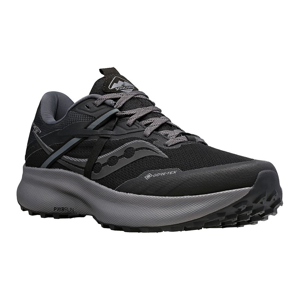 Saucony RIDE 15 TR GTX - Chaussures trail Homme black/charcoal