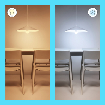 WiZ Connected LED peer E27 60 W mat koel tot warmwit licht dimbaar 2 stuks