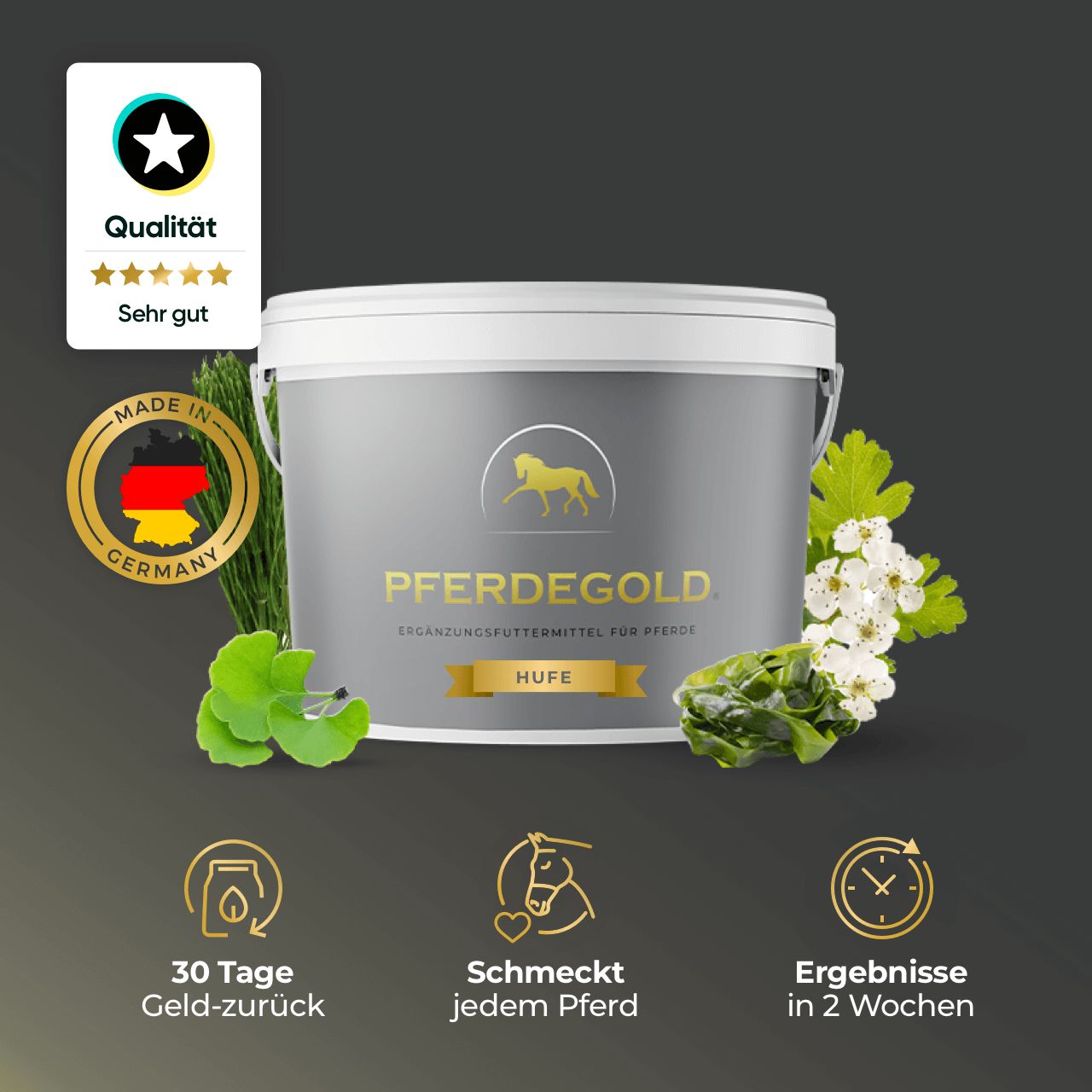 Pferdegold® Hufe