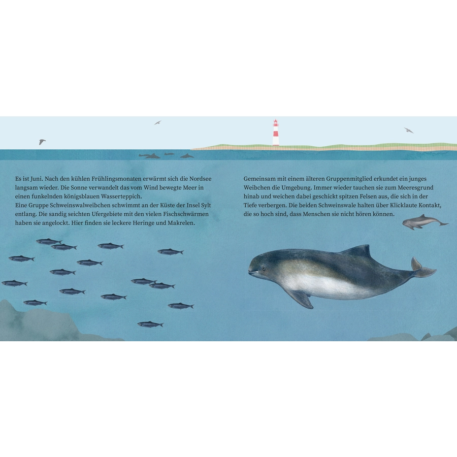 Carlsen LESEMAUS 135: Der kleine Wal und das Meer