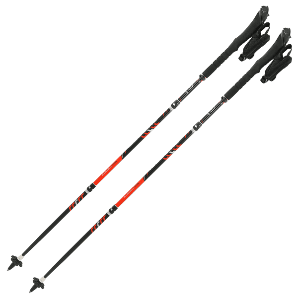 Bâton trail GUIDETTI SILVER NEO
