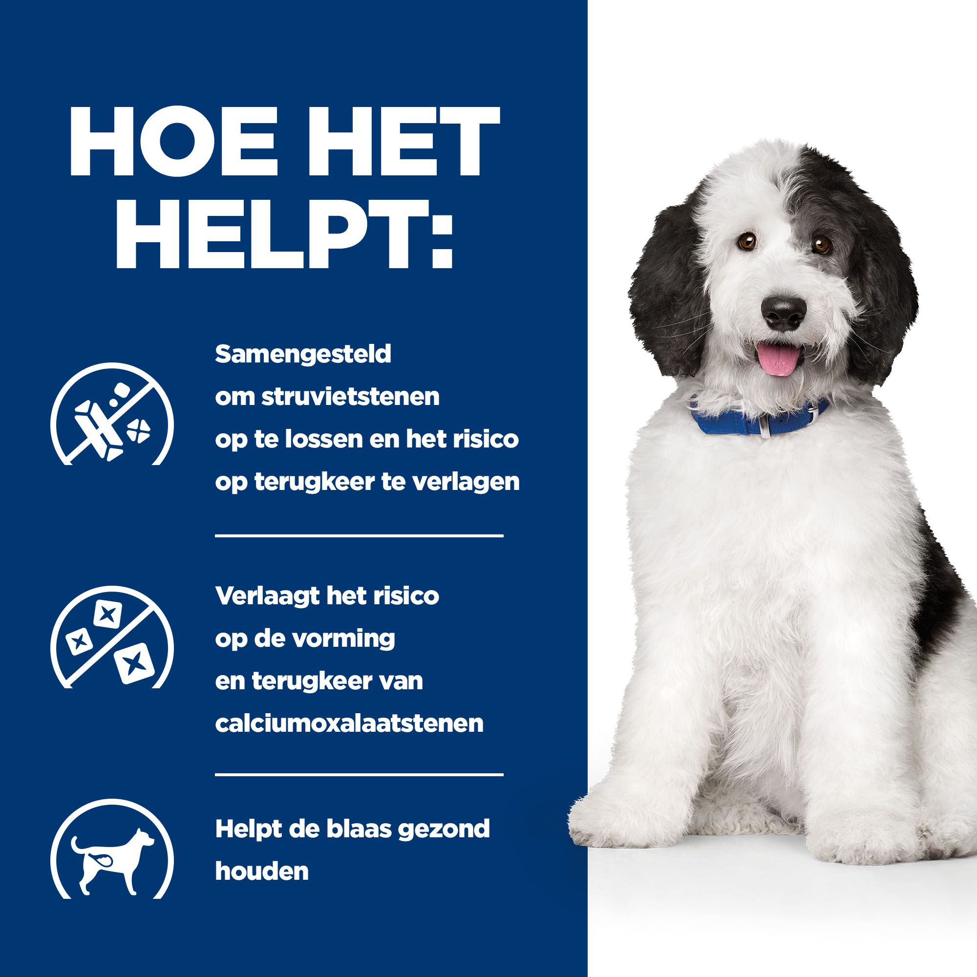 Hill's c/d Multicare Stoofpotje - Prescription Diet - Canine