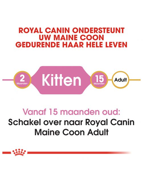 Royal Canin Maine Coon Kitten - Kitten-Kattenvoer