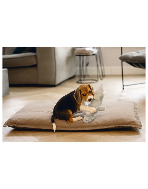 Beeztees Puppy Krokodil Jake - Hondenspeelgoed - 32x18x8 cm 65 g Groen