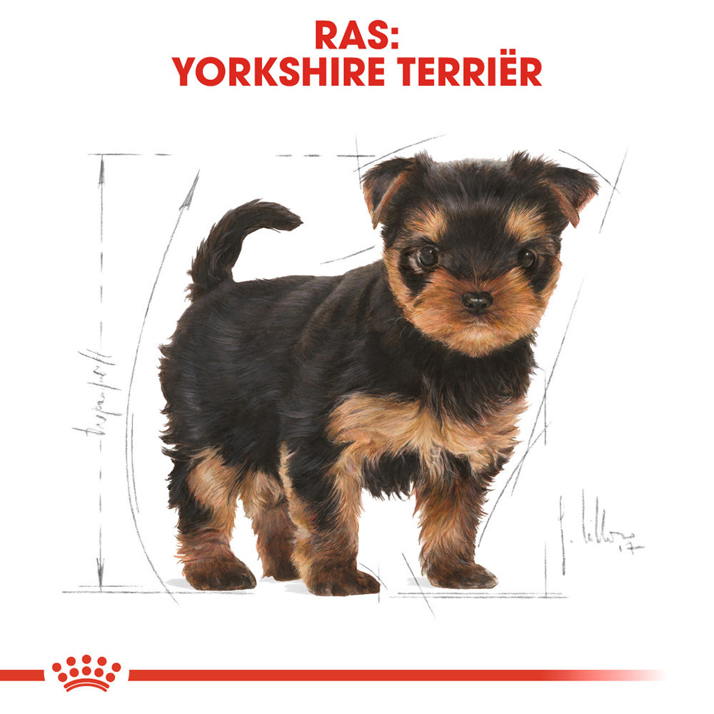 Royal Canin Yorkshire Terrier Puppy - Hondenvoer