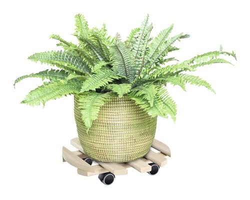 Wagner plantenwagen, beukenhout, Ø 35 cm, max. draagvermogen 100 kg