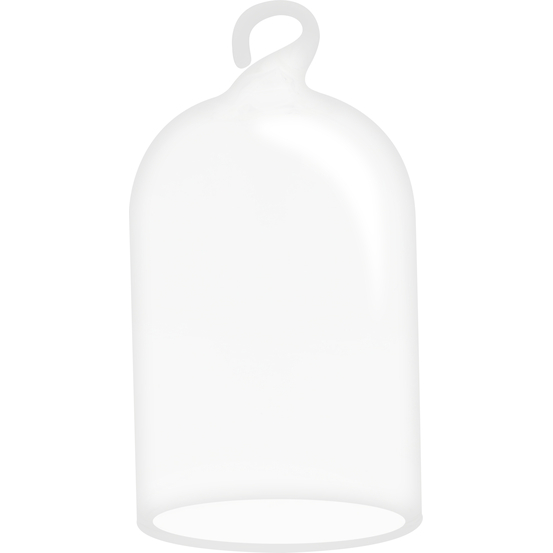 Set de 2 dômes en verre à suspendre