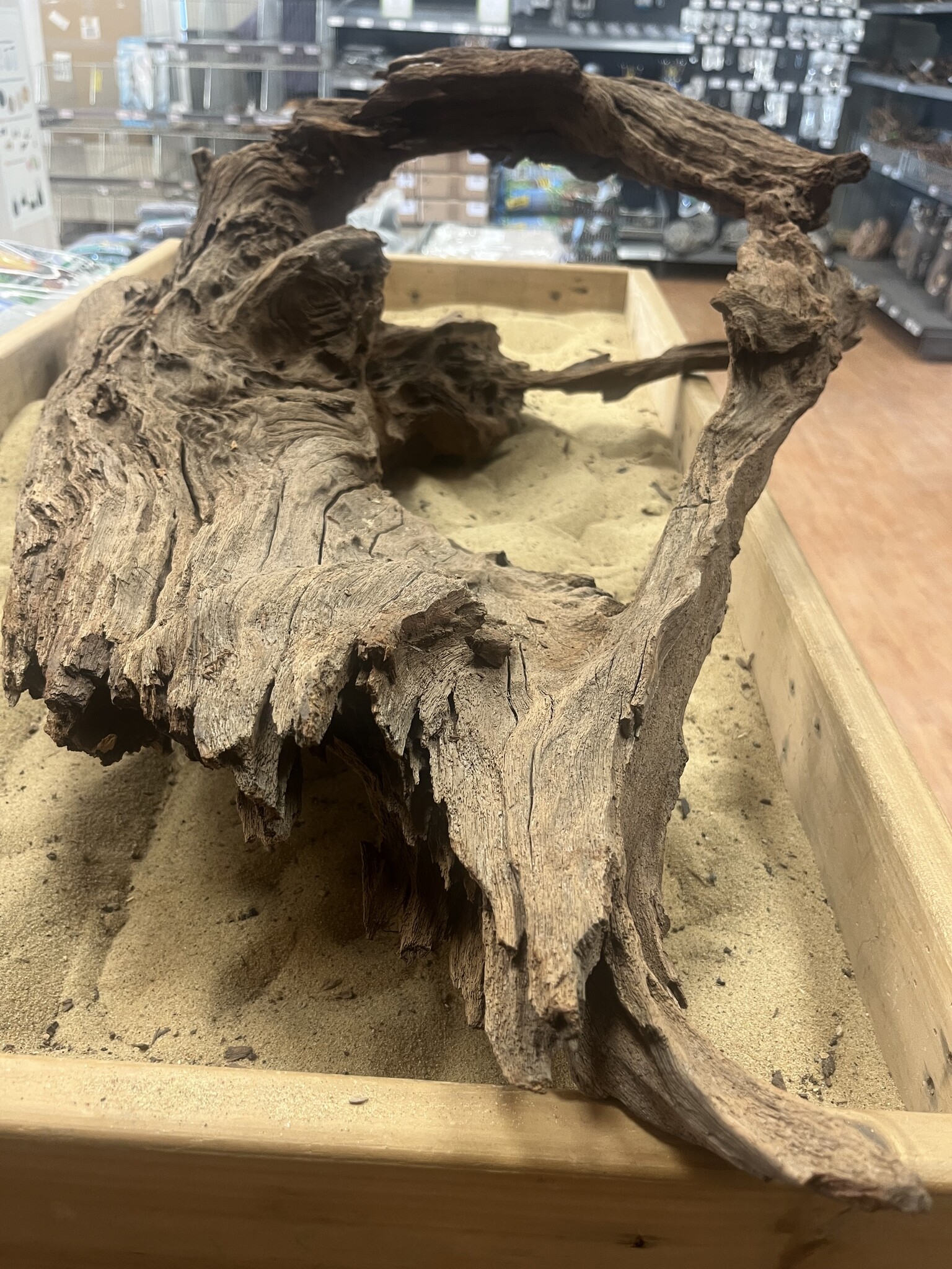 AQXL Selected Mangrovehout XL E 70-90cm