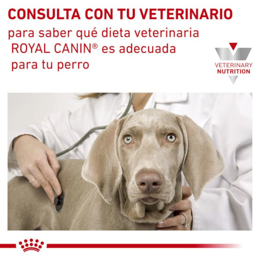 Royal Canin Veterinary Sensitivity Control Mousse de Frango e Arroz em Lata para Cães
