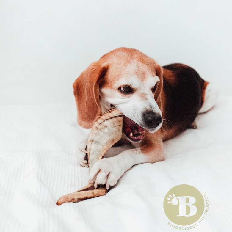 Brinquedo para mastigar para cães feito com chifre de carneiro 100% natural