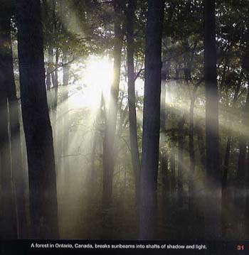 The Sun (Hardback)