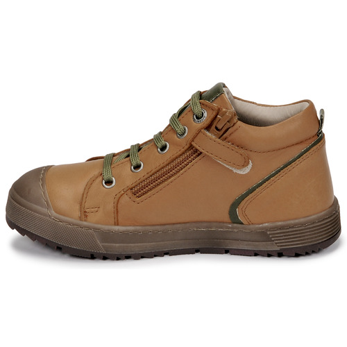 Aster - BARNA - Camel