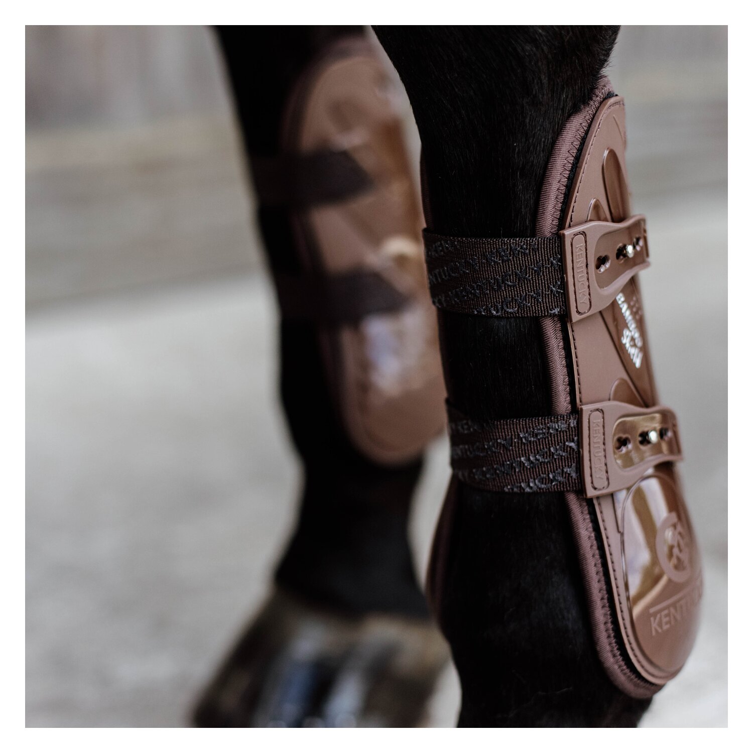 KENTUCKY Springgamaschen Bamboo Shield, für Vorderbeine - brown