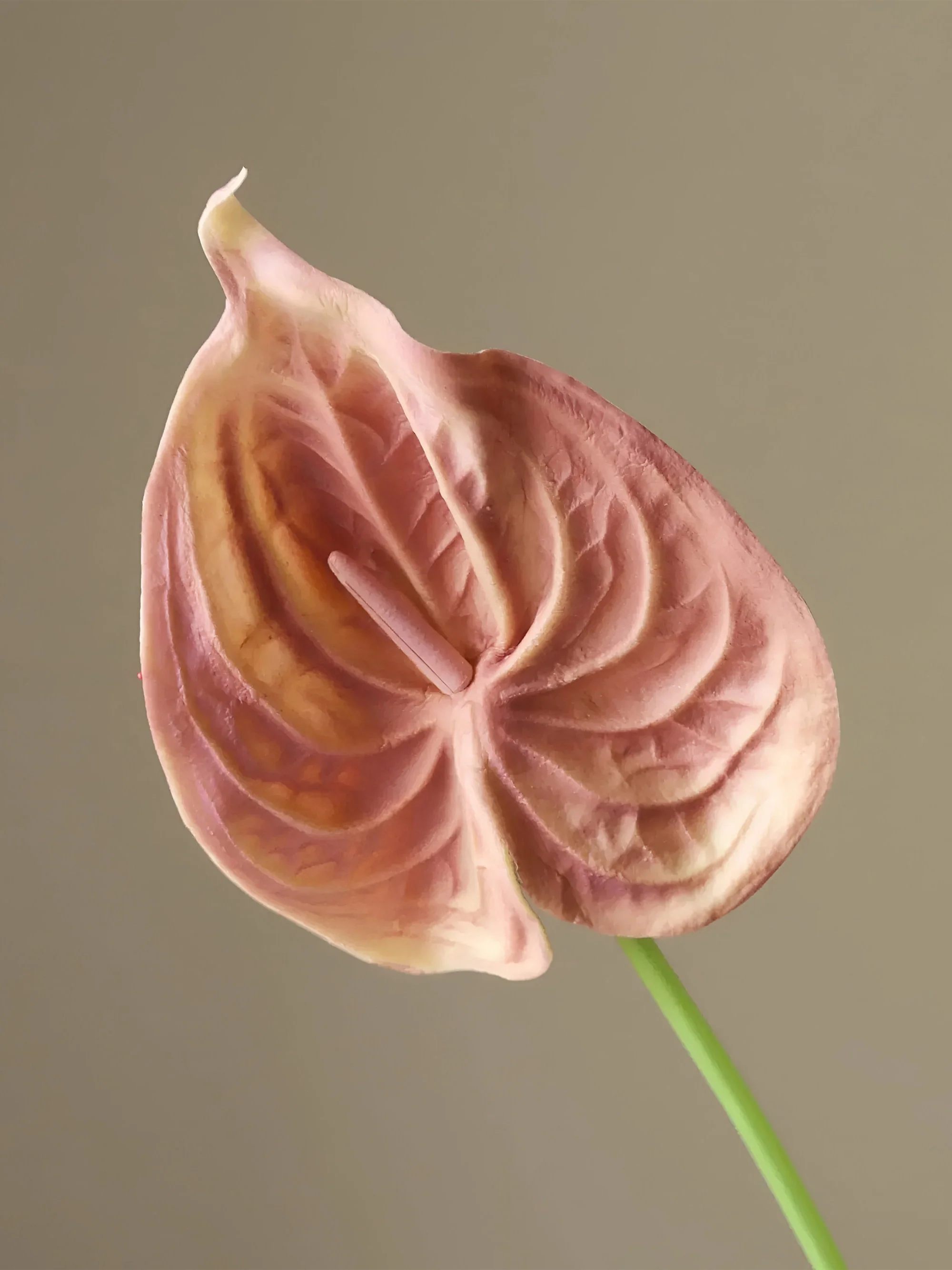 Kunstbloem Small Anthurium