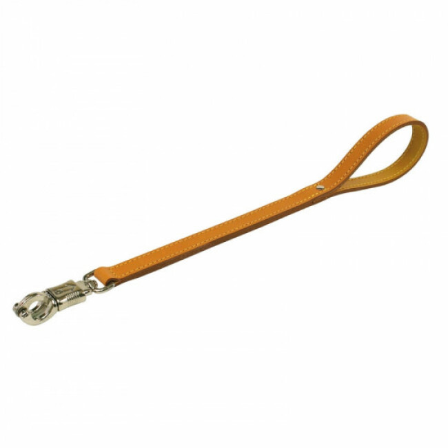 Laisse courte 50 cm en cuir pour chien