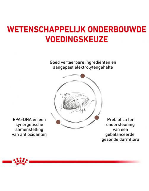 Royal Canin Veterinary Diet Gastro Intestinal - Kattenvoer
