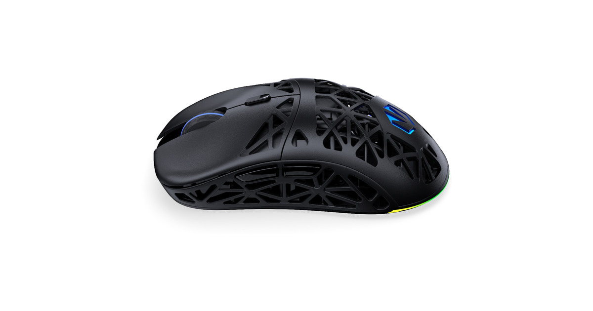 ENDORFYLIV Wireless gaming muis  (Zwart, 12.000 DPI, ARGB, USB-C / 2.4 GHz / Bluetooth)