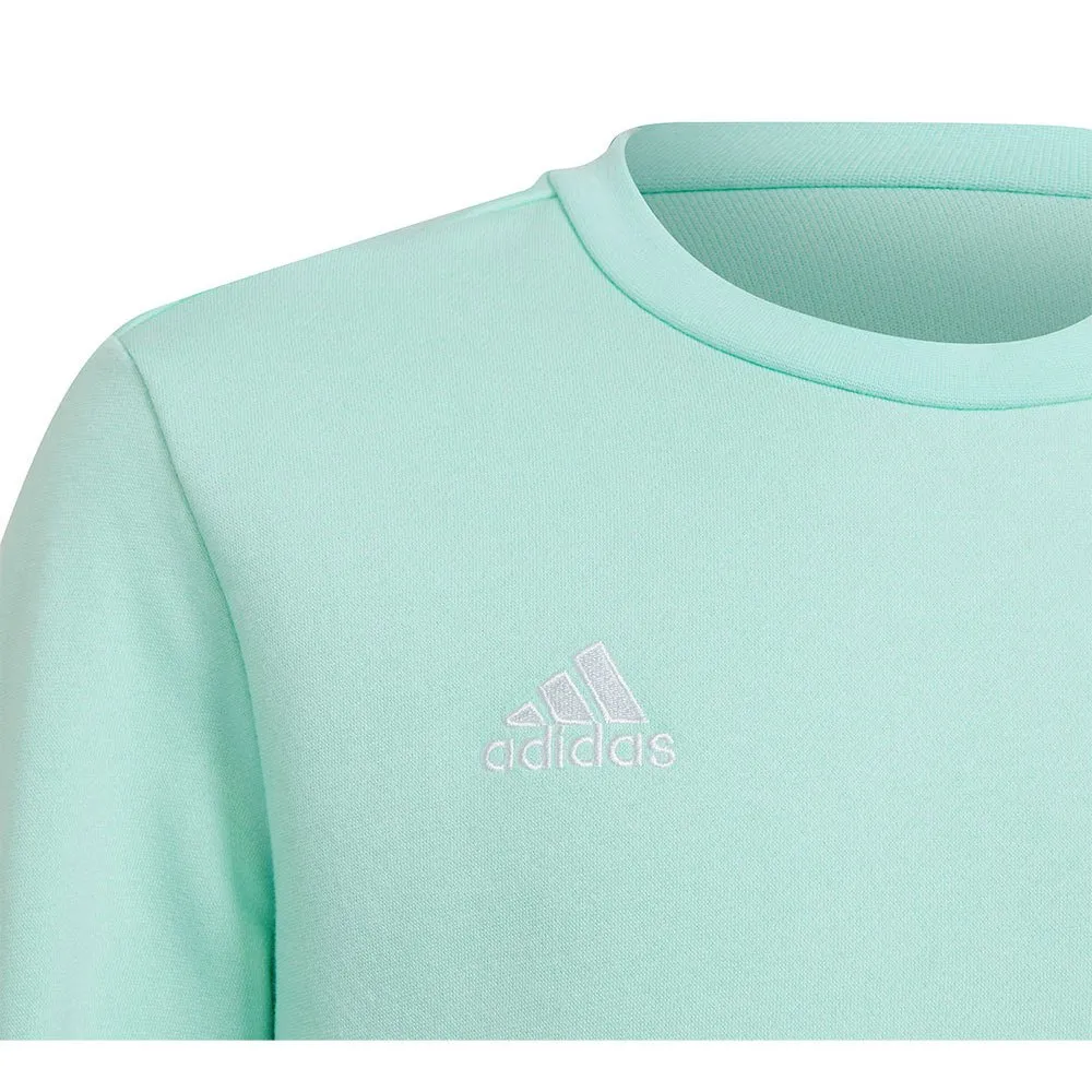 Moletom adidas Entrada 22 Stadium SW