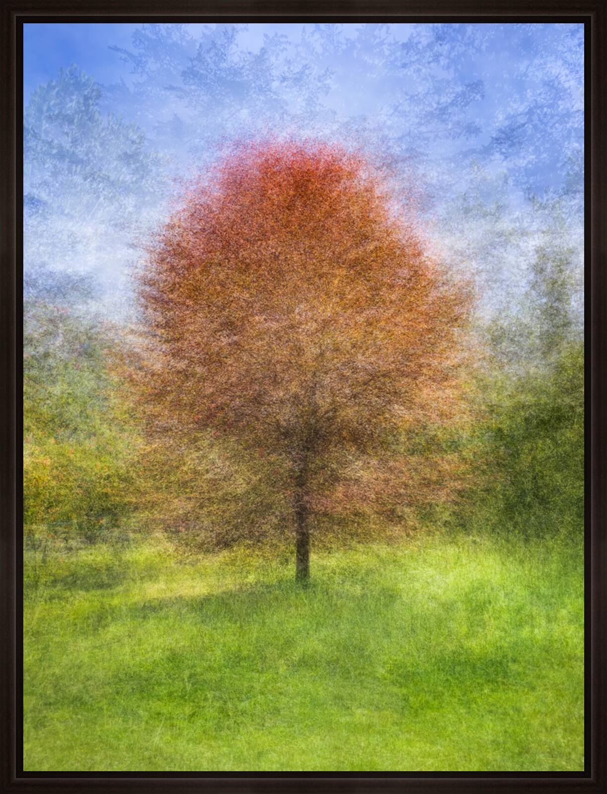 Golden Gate Park, Eleven by Pep Ventosa - Limited Edition. Edition of: 150. Signed.