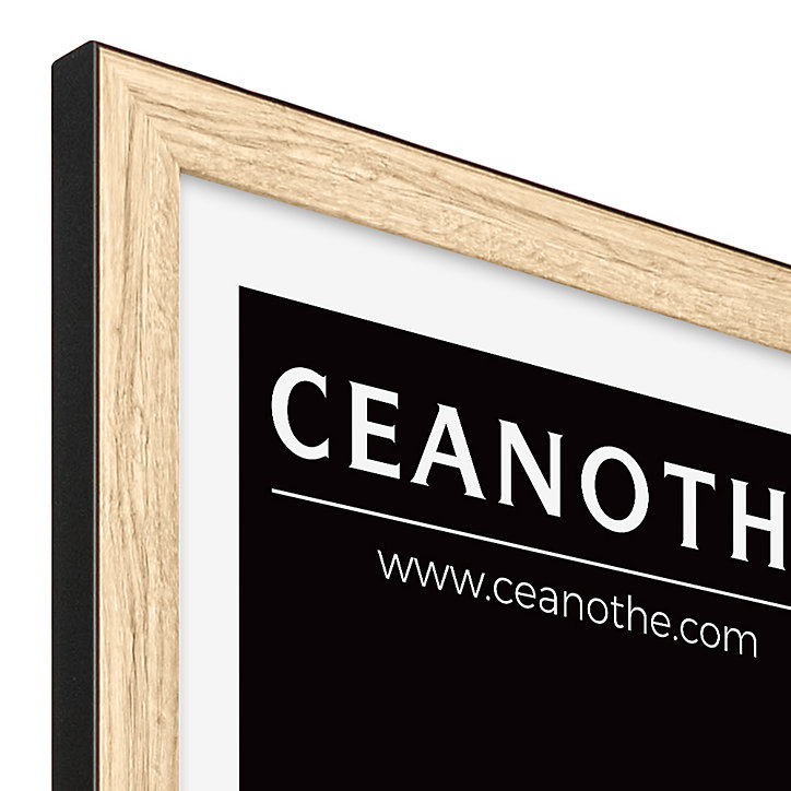 Cadre Newton noir l.40 x H.50 cm Ceanothe