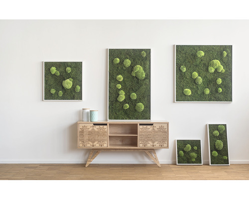 Mosschilderij bos & bolmos 55x55 cm