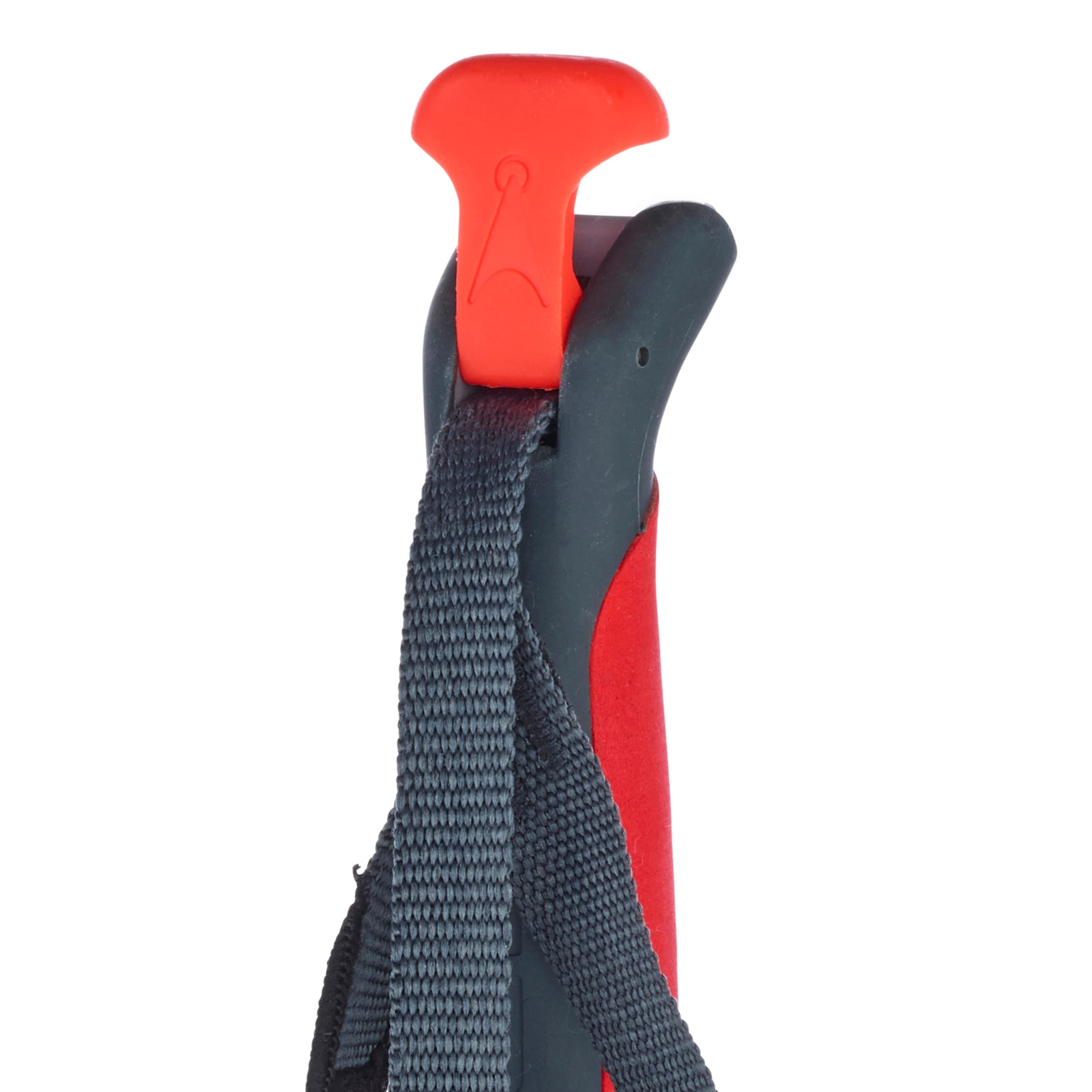 Åsnes Polar 2-Section Pole Carbon/Kevlar<br>Perfekt regulerbar stav til alle som skal ut i fjellet