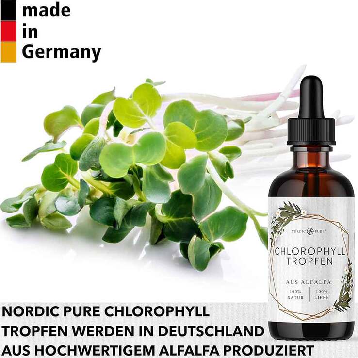 Chlorophyll-Tropfen aus Alfalfa Nordic Pure, 100 ml