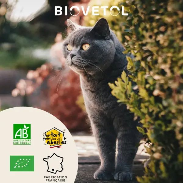 Biovetol - Alimento para o Bem-Estar - Alt'vers em Pó Orgânico para Gatos Grandes (acima de 5kg) - 100g