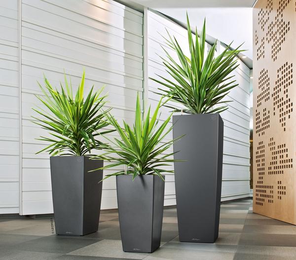 LECHUZA® CUBICO ALTO, All-in-One-Set, ca.
