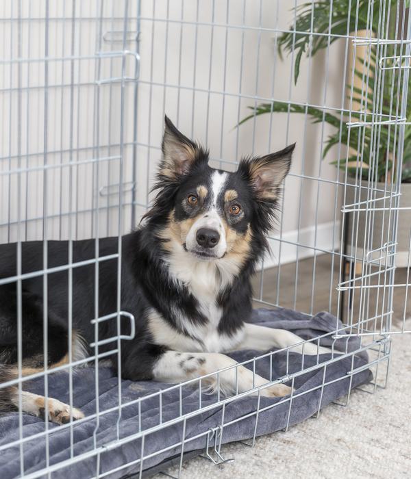 Trixie Hundekäfig mit 2 Türen, schwarz